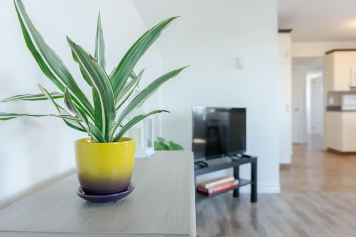 Amazing Location In Saint John 2 Bedroom Modern Parking New Екстер'єр фото