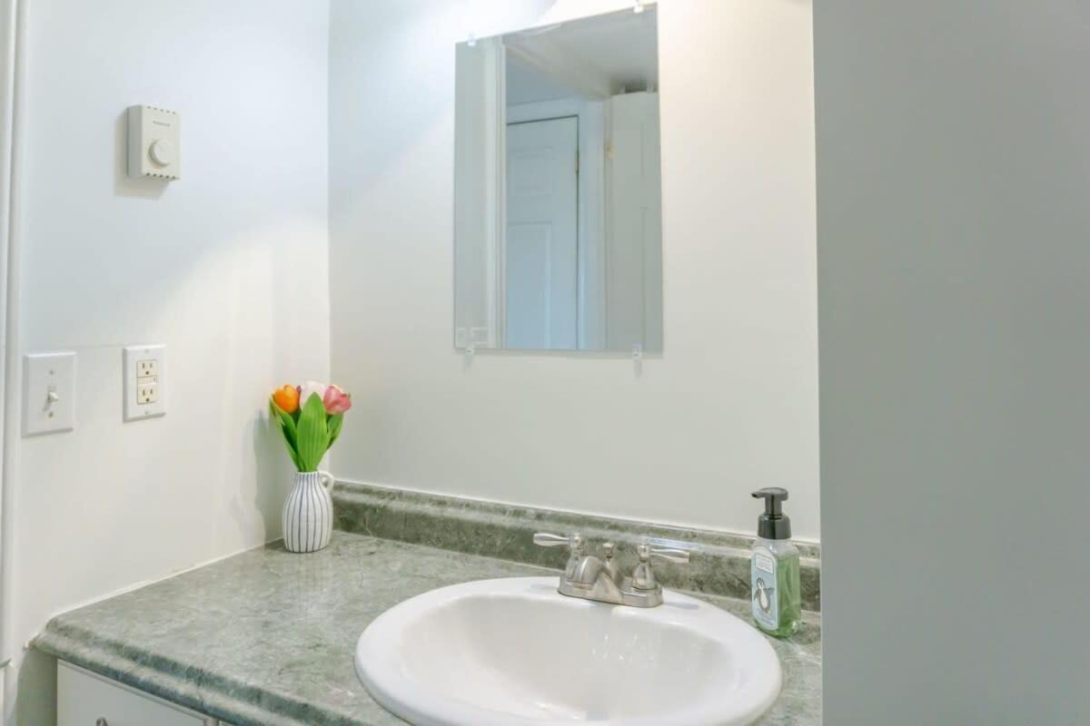 Amazing Location In Saint John 2 Bedroom Modern Parking New Екстер'єр фото